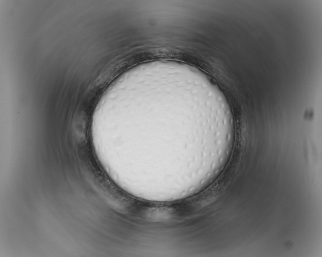 X0000114000266200910231759