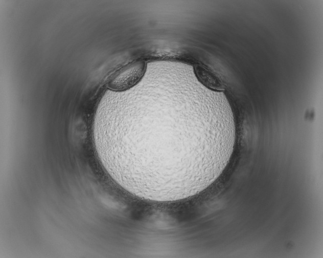 X0000114000268200910231759