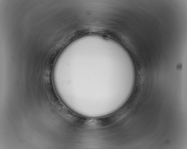 X0000114000269200910231759