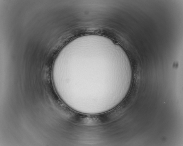 X0000114000270200910231759