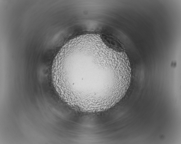 X0000114000272200910231759