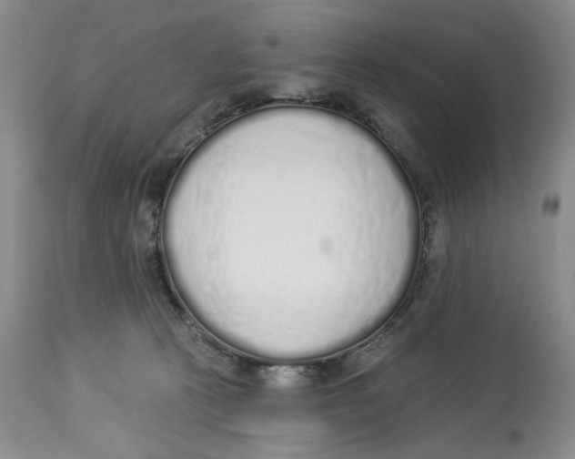 X0000114000273200910231759