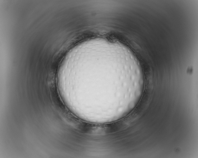 X0000114000274200910231759