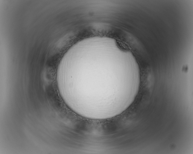 X0000114000276200910231759