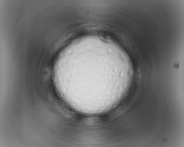 X0000114000278200910231759