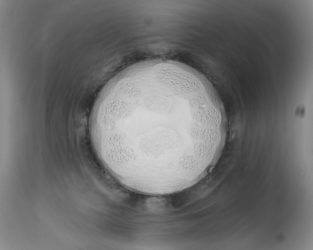 X0000114000279200910231759