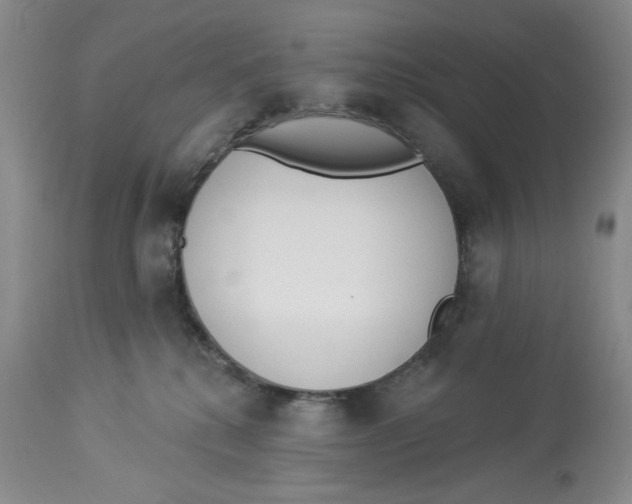 X0000114000280200910231759