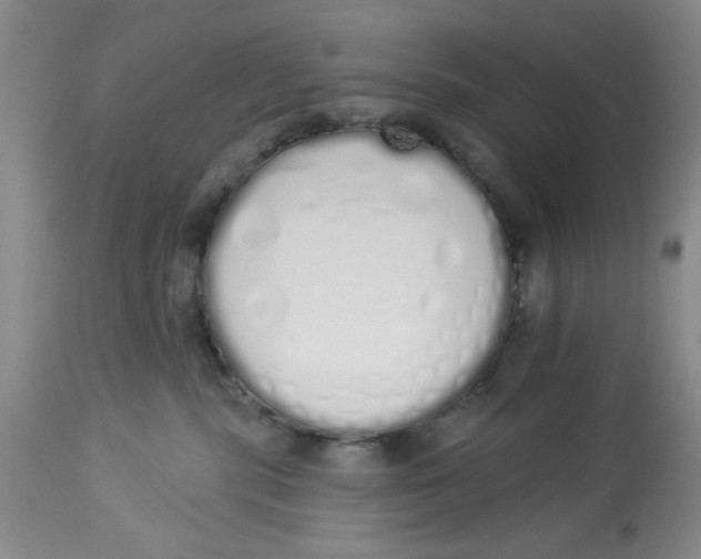 X0000114000283200910231759