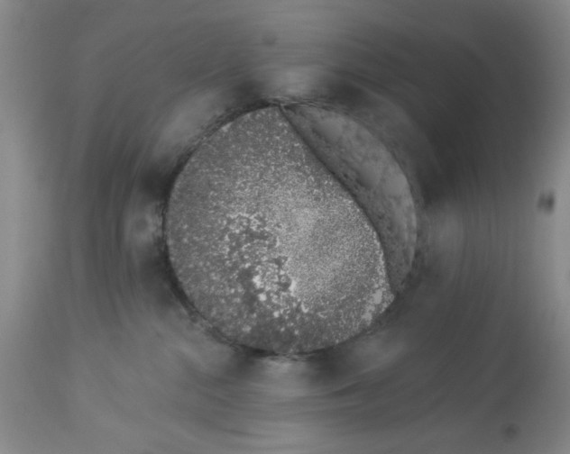 X0000114000284200910231759