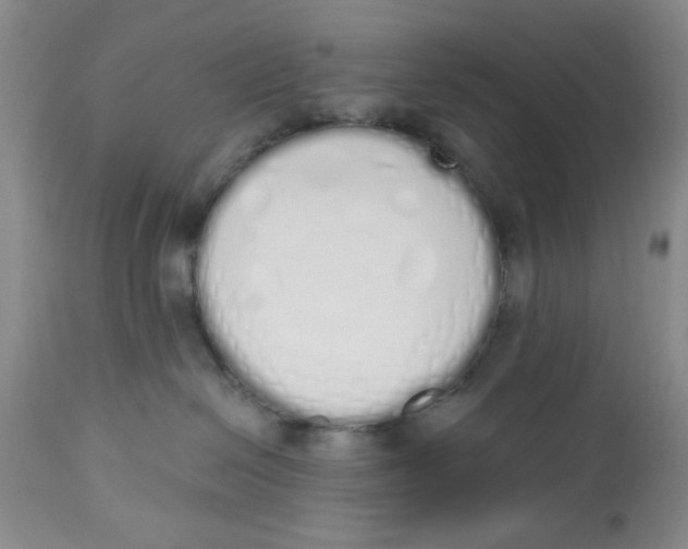X0000114000286200910231759