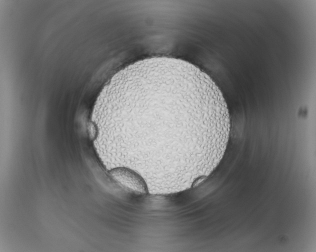 X0000114000287200910231759