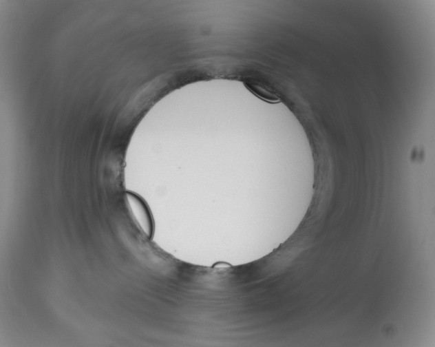 X0000114000288200910231759