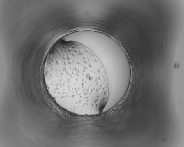 X0000114000289200910231758