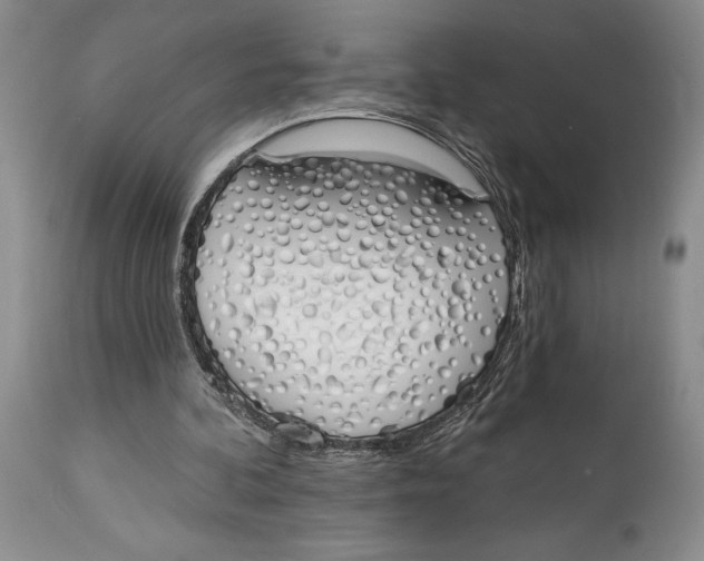 X0000114000292200910231758