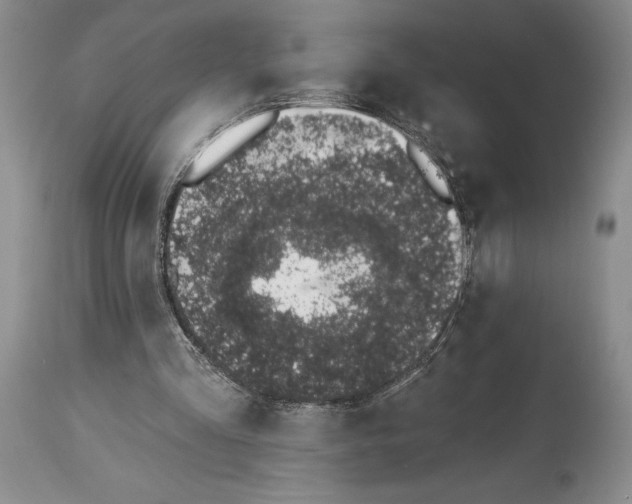 X0000114000293200910231758