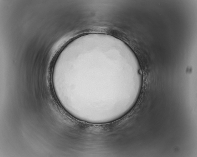 X0000114000294200910231758