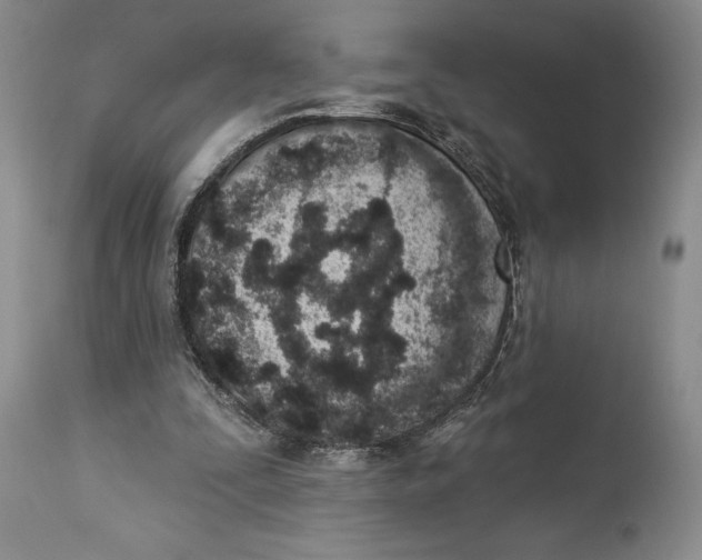 X0000114000295200910231758