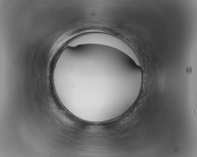 X0000114000296200910231758