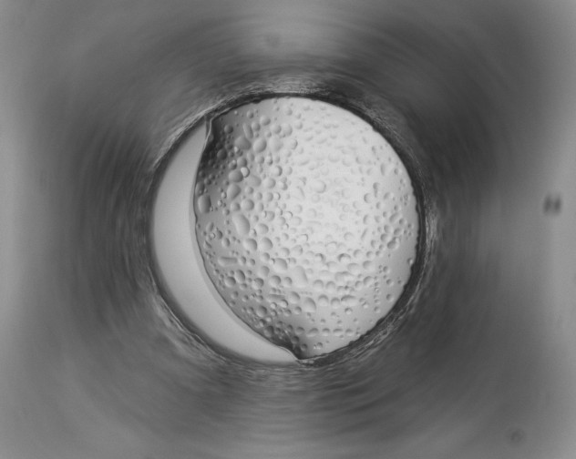 X0000114000297200910231758