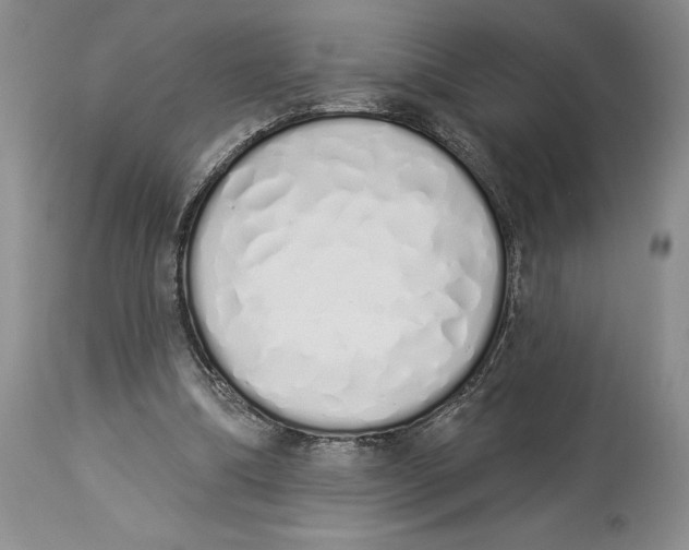 X0000114000298200910231758