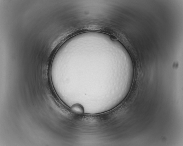 X0000114000299200910231758