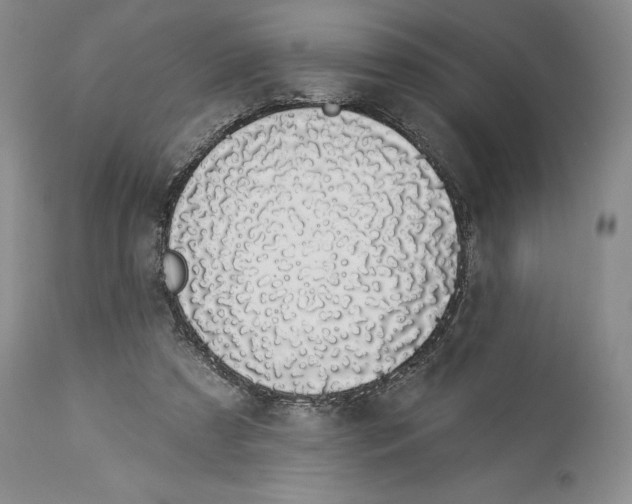 X0000114000305200910231758