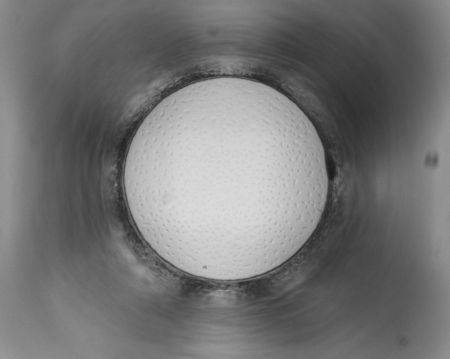 X0000114000306200910231758