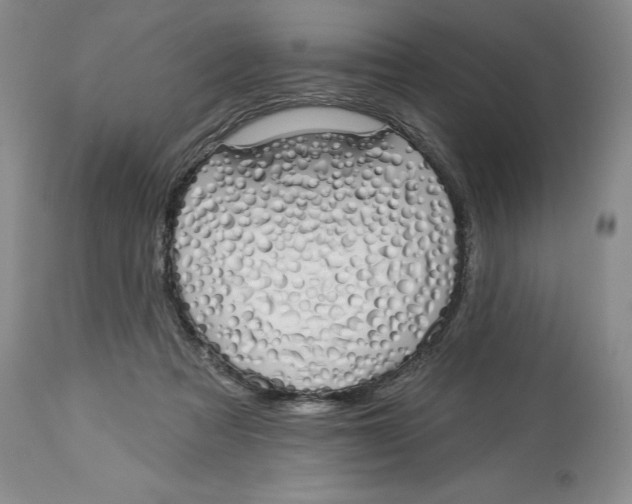 X0000114000313200910231758