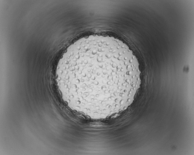 X0000114000316200910231758