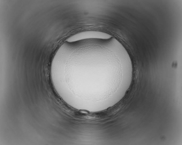 X0000114000317200910231758