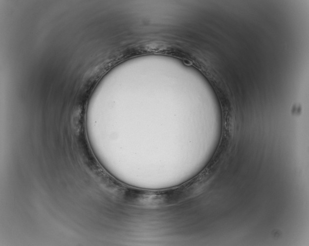 X0000114000319200910231758