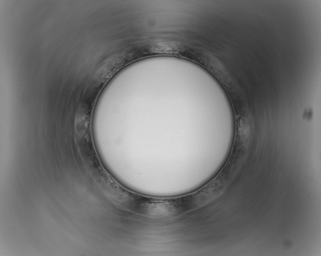 X0000114000322200910231758
