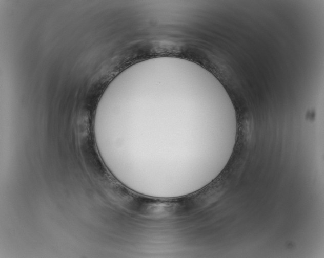 X0000114000323200910231758