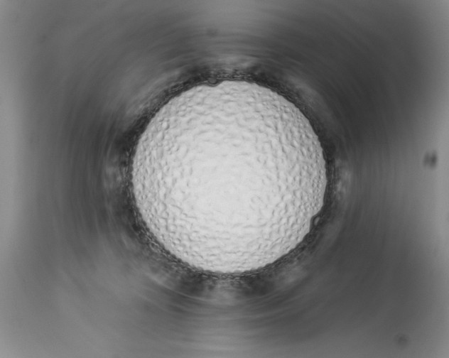 X0000114000324200910231758