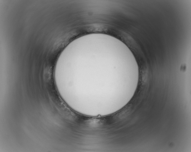 X0000114000326200910231758