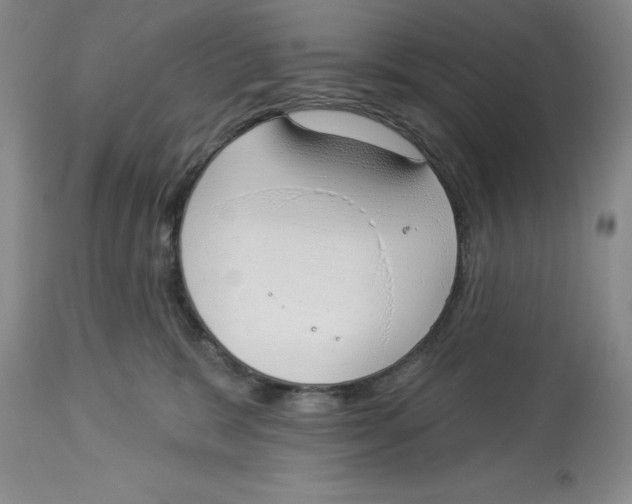 X0000114000327200910231758