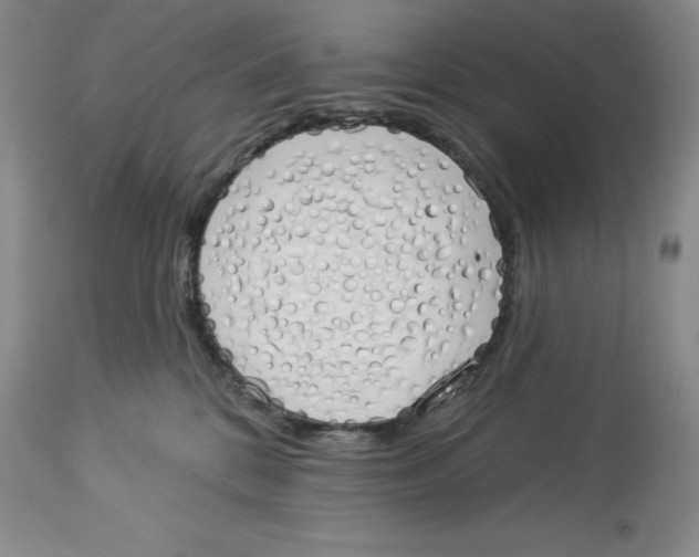 X0000114000328200910231758