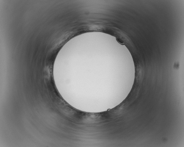 X0000114000329200910231758