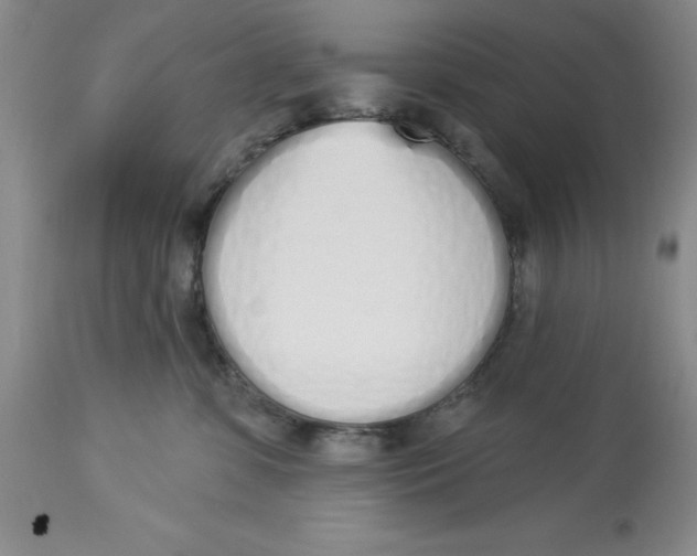 X0000114000331200910231758