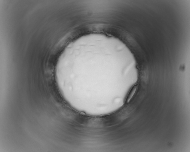 X0000114000332200910231758