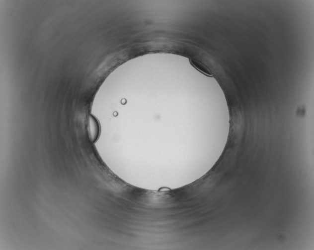 X0000114000333200910231758