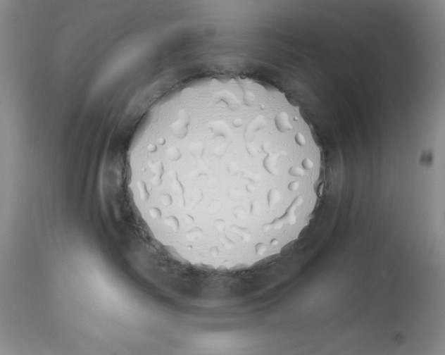 X0000114000334200910231758