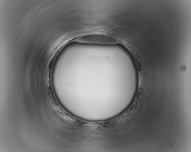 X0000114000339200910231757