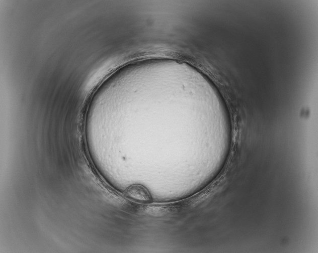 X0000114000341200910231757