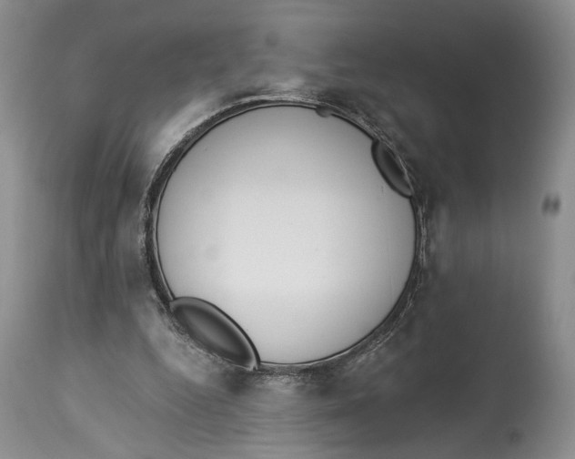 X0000114000344200910231757
