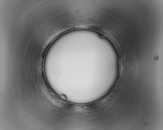 X0000114000346200910231757