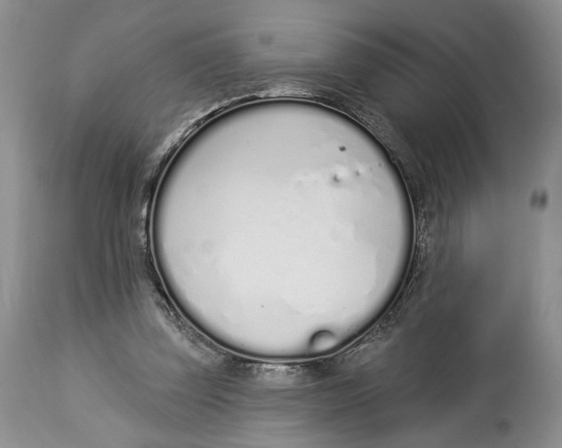 X0000114000347200910231757