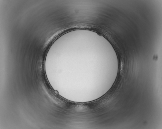 X0000114000348200910231757