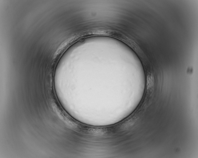 X0000114000349200910231757