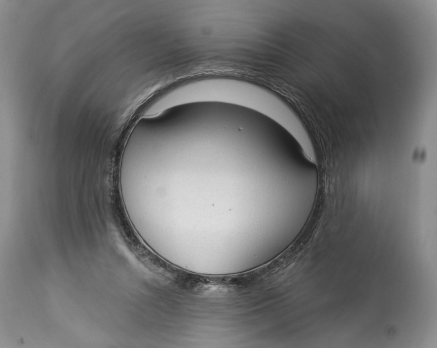 X0000114000352200910231757